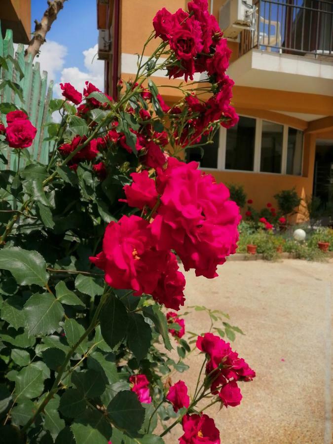 Vilele Liliana Navodari Dış mekan fotoğraf